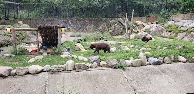 Trailside Museums & Zoo